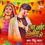 Aai Jaitu Holiya Me