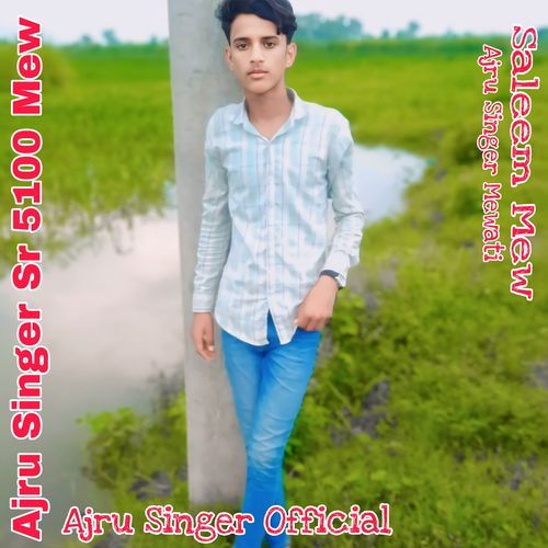 Ajru Singer Sr 5100 Mew