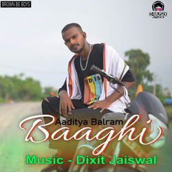 Baaghi-PQocfRtRcGA