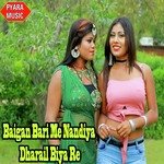 Baigan Bari Me Nandiya Dharail Biya Re