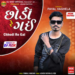 Chhodi Re Gai Feat. Ashish Rathva DJ RDX-NgcmWRdTTUY