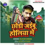 Chodi jaebu holiya me