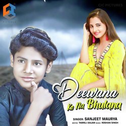 Deewana KO Na Bhulana-NVosABFIZwA