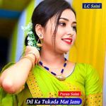 Dil Ka Tukada Mat Janu