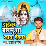 Driver Balamua Jata Devghar