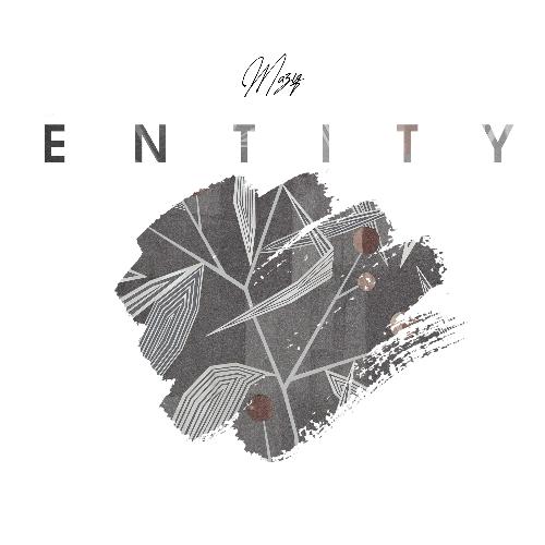 Entity cover art