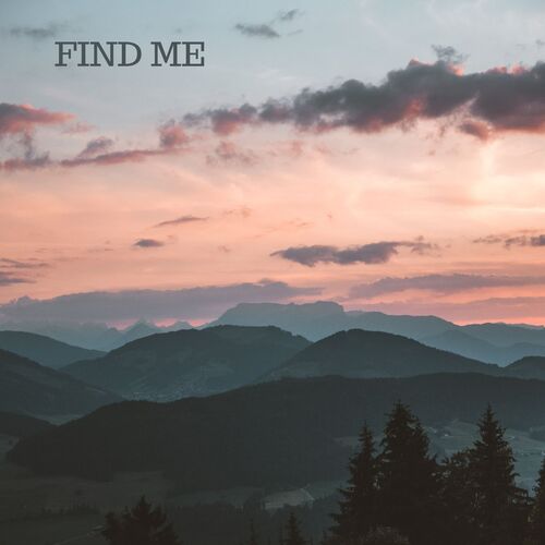 Find me_poster_image