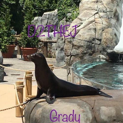 Grady cover art