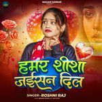 Hamar Sisa Jaisan Dil