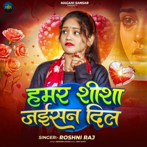 Hamar Sisa Jaisan Dil