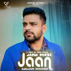 Janu Meri Jaan-QBwiZyR2Qlk