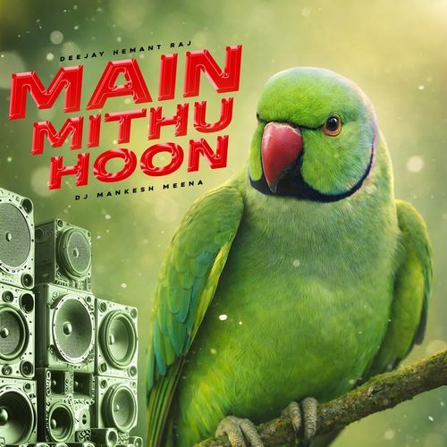 Main Mithu Hoon (DJ Mankesh Meena)