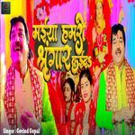 Maiya Hamaro Shringar Kaida