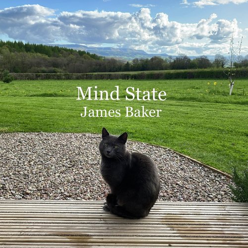 Mind State