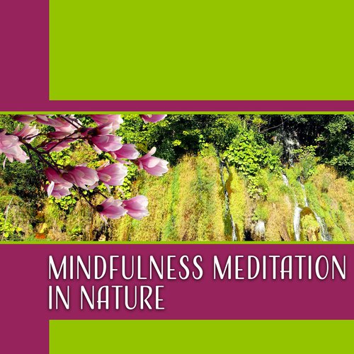 Mindfulness Meditation Unit