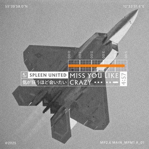 Miss You Like Crazy cover art