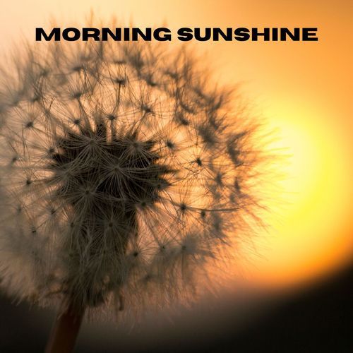 Morning Sunshine_poster_image