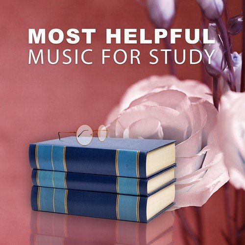 Study Life Music Guys