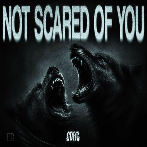 NOT SCARED OF YOU