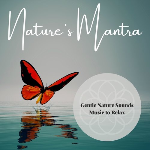 Peaceful Relaxing Nature Ambience cover art