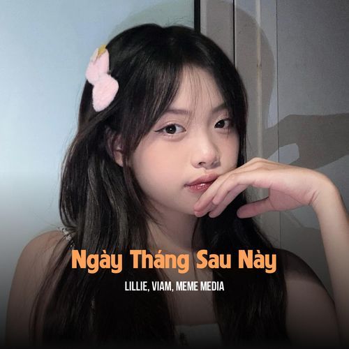 Ngày Tháng Sau Này (ZZ Remix)_poster_image