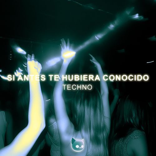 Si Antes Te Hubiera Conocido (Techno Mix - Sped Up)