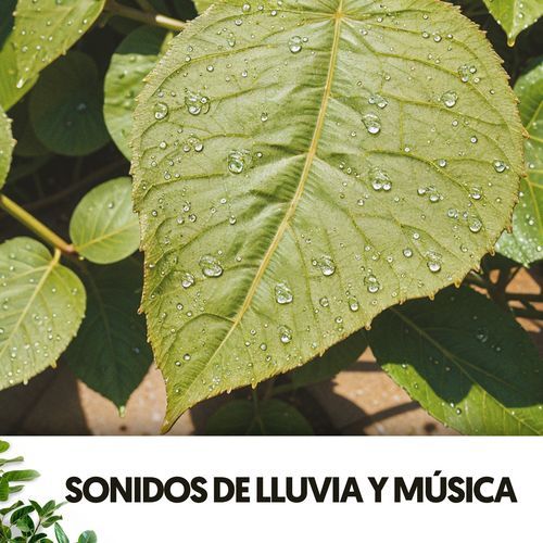 Sonidos de Lluvia y música: Melodías bajo la lluvia_poster_image