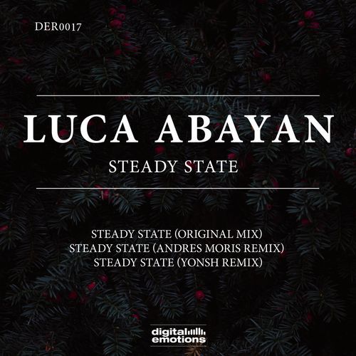 Steady State (Yonsh Remix) cover art