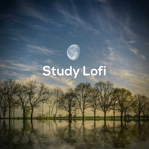 Study Lofi_poster_image