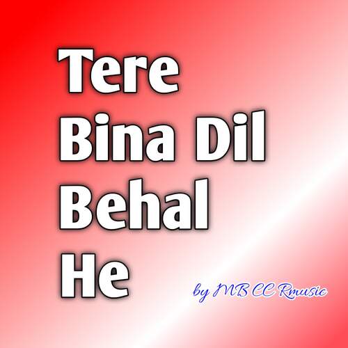 Tere Bina Dil Behal He