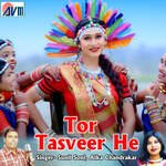 Tor Tasveer He