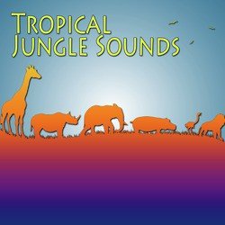 Tropical Jungle Sounds