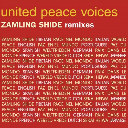 Zamling Shide (The Remixes)_poster_image