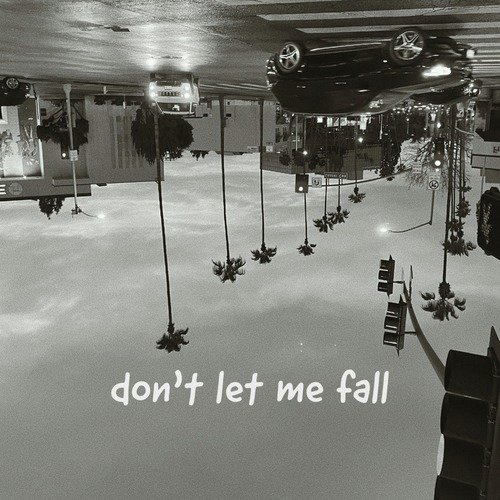 don't let me fall_poster_image