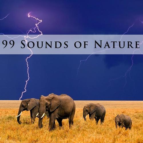 99 Sounds of Nature