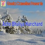Acho Bhuleya Harichand