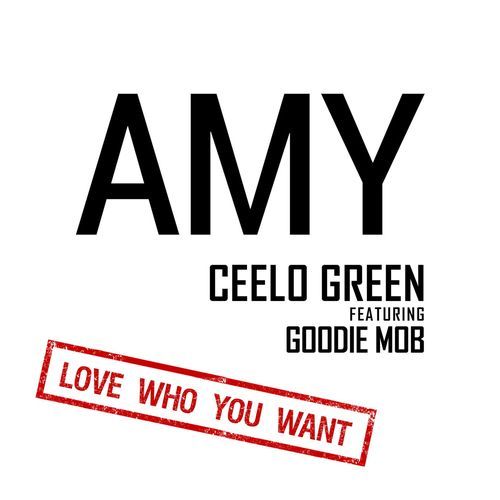 Amy (feat. Goodie Mob) [Radio Version] (Radio Version) cover art