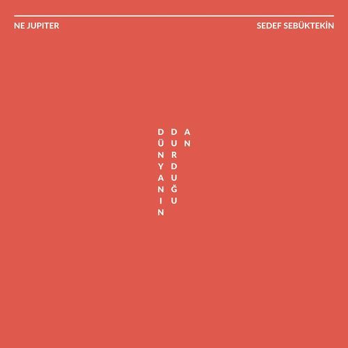 Dünyanın Durduğu An (feat. Sedef Sebüktekin) cover art