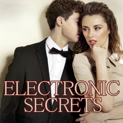 Electronic Secrets