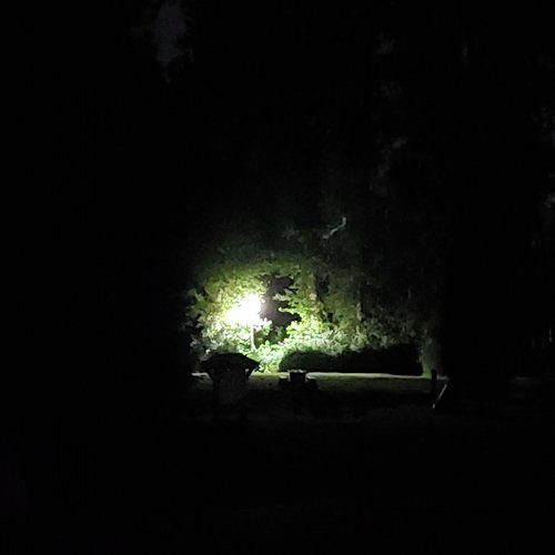 Oliver cover art