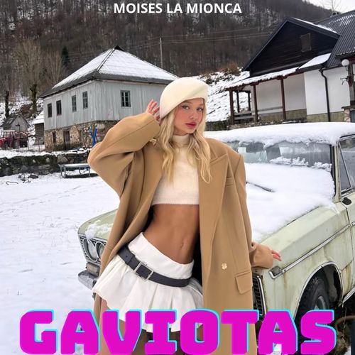 Gaviotas cover art