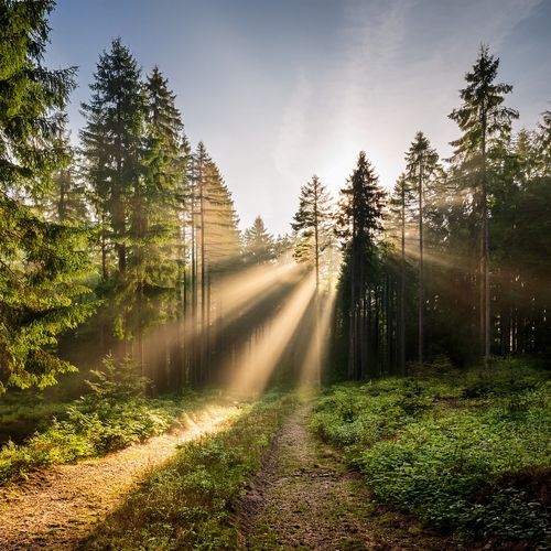 Guitar Music for Open Roads and Cloudy Afternoons