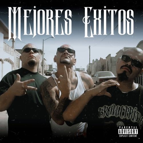 Mejores Exitos