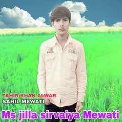 Ms jilla sirvaiya Mewati-ABpfVD53YEY