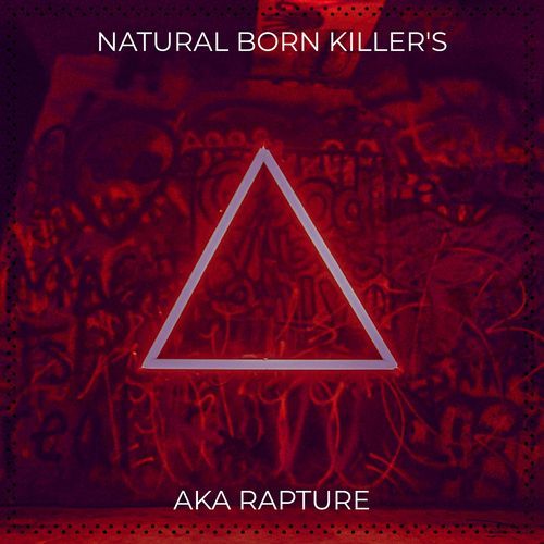 Natural Born Killer's_poster_image