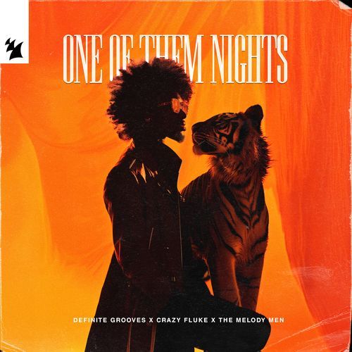 One Of Them Nights_poster_image