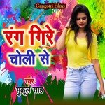 Rang Gire Choli Se