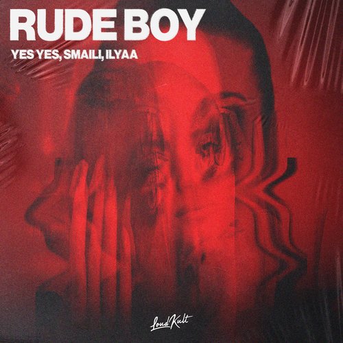 Rude Boy_poster_image