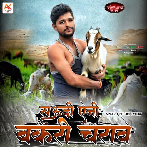 Saudi Aini Bakri Charave Lakdi Bhaini Sukh Ke