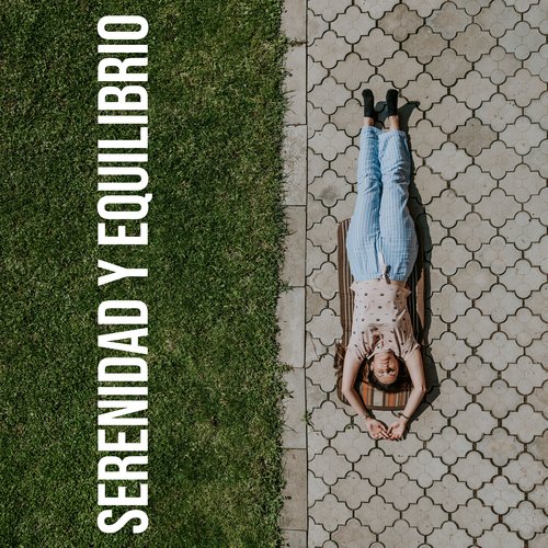 Música de la Meditación cover art